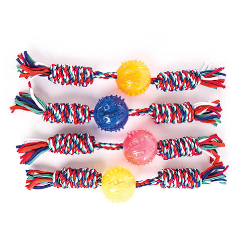 Toy for small dogs and puppies - Set of 4 ropes + ball