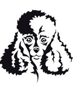 Poodle dog head sticker