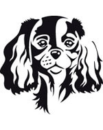 Cavalier King Charles dog head sticker