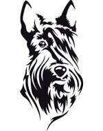 Scottish Terrier dog head sticker