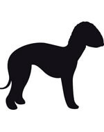 Bedlington dog body sticker