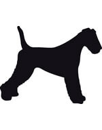 Autocollant Sticker corps de chien Airedale Terrier