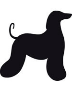Autocollant Sticker corps de chien Lévrier Afghan