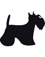 Scottish Terrier dog body sticker