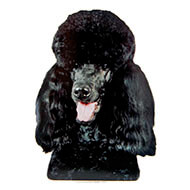 Poodle Modern black Sticker - 15cm