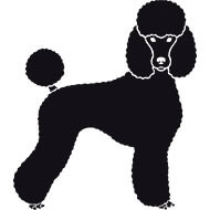 Autocollant Sticker corps de chien Caniche - coupe moderne - tête de face