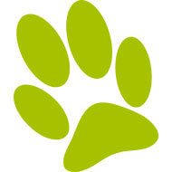 Sticker paw - fluorescent light green