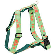 Dog harness - Green's Floralie