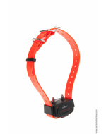 Added collar for CANICOM 800, 1500 and 1500PRO - fluorescent orange strap