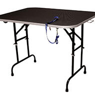 Adjustable massage table - all type of dogs