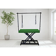 Vivog I-design grooming table - lacquered
