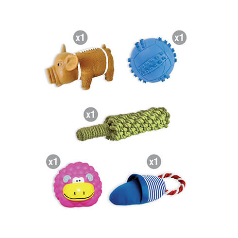 Lot 5 jouets variés pour chien
