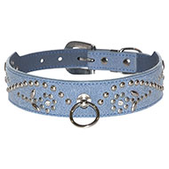 Blue west collar for dog