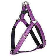 Doremi purple harness