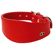 Collier whippet agneau rouge