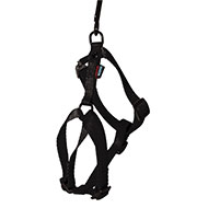 Dog harness - nylon black