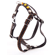 Dog black fluo harness - nylon black & orange