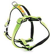 Dog color fluo harness - nylon green & orange
