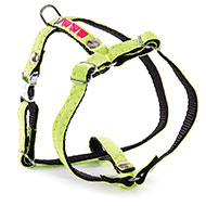 Dog color fluo harness - nylon yellow & pink