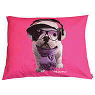 Dog cushion - Téo Groovy