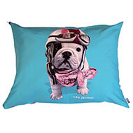 Dog cushion - Téo Racing