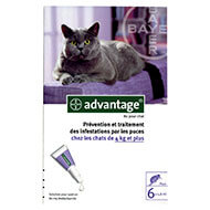 Antiparasitics pipets - cat more than 4 kg - Advantage