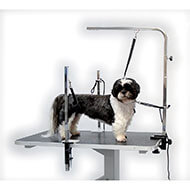 Système de maintien des chiens sur tables de toilettage -  Grommers Helper