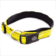 Adjustable dog collar - Neo Yellow