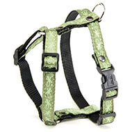 Dog harness - Salamander vert