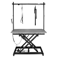 Concrete Caractère Electric Grooming Table